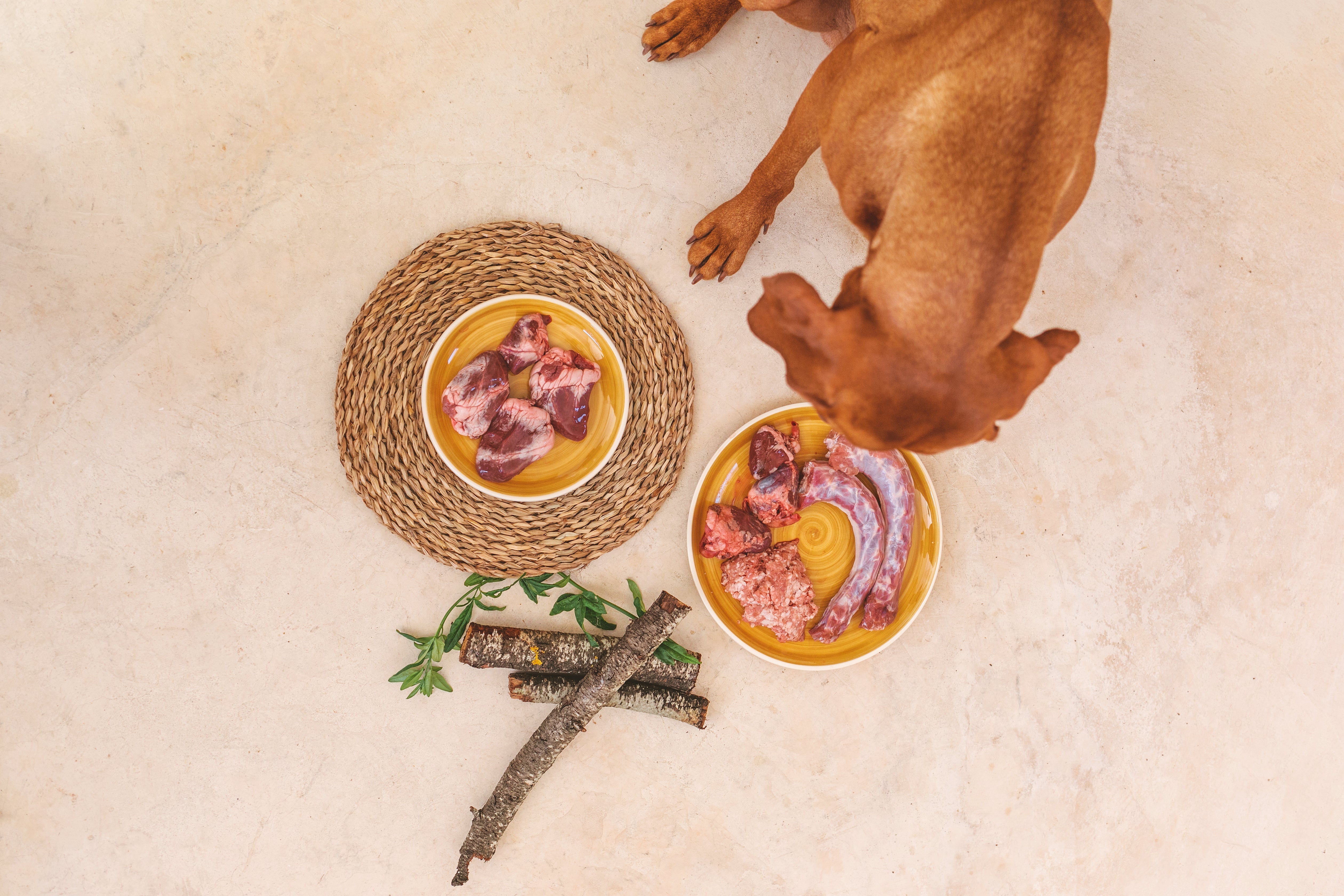 Complementi di Carne