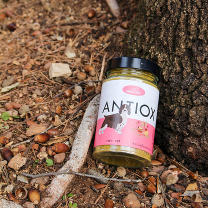 Antiox